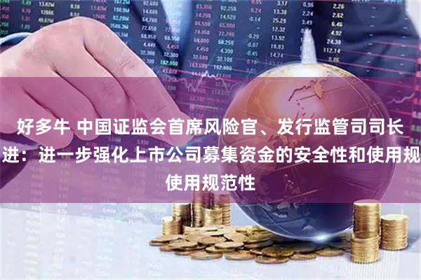 好多牛 中国证监会首席风险官、发行监管司司长严伯进：进一步强化上市公司募集资金的安全性和使用规范性