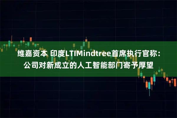 维嘉资本 印度LTIMindtree首席执行官称：公司对新成立的人工智能部门寄予厚望