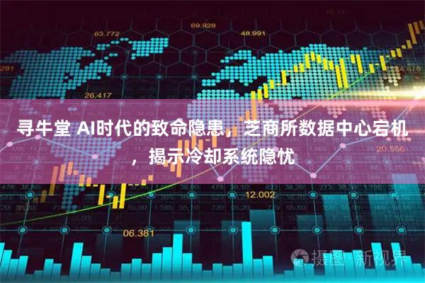 寻牛堂 AI时代的致命隐患，芝商所数据中心宕机，揭示冷却系统隐忧