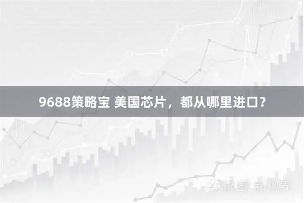 9688策略宝 美国芯片，都从哪里进口？