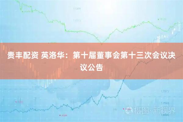 贵丰配资 英洛华：第十届董事会第十三次会议决议公告